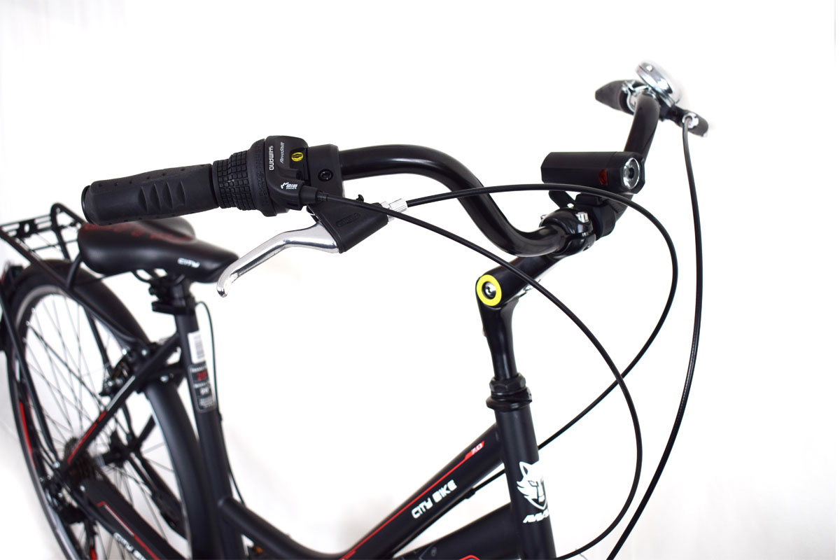City-bike-man_7_5